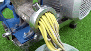 Meat Experiment GIF