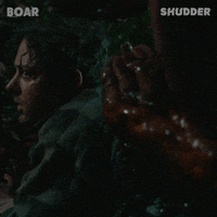 shudder horror scary australia pig GIF
