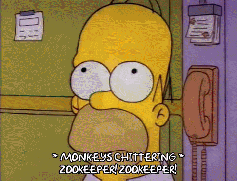 Season 4 GIF by The Simpsons