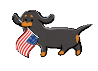 Voting Independence Day Sticker by Stefanie Shank