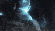 France Fire GIF by systaime