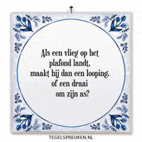 Reflectie Verandering GIF by Tegelspreuken.nl