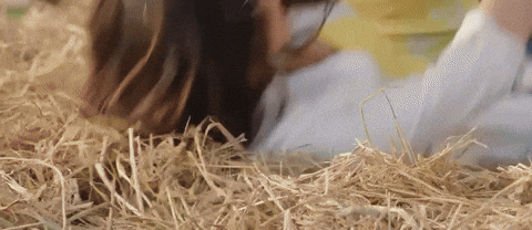 Bollywood Love GIF by T-Series