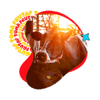 Pop Art Cow Sticker by Frutap