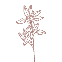 herb Sticker by Muetzenmafia