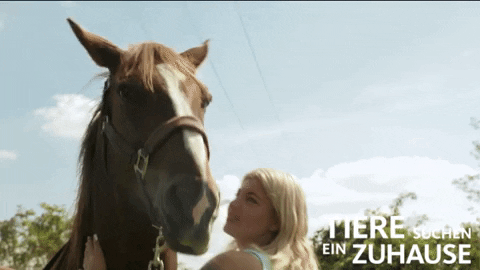 ja tsez GIF by WDR