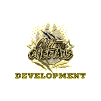 Development Cheerleading Sticker by Chiltern Cheetahs