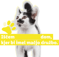 Mucek Sticker by Lidl Slovenija