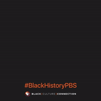 black history month GIF by PBS