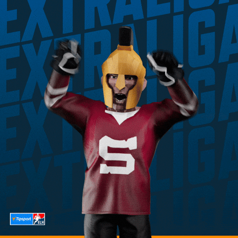 Hockey Spa GIF by Tipsport extraliga