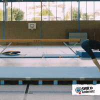 Up And Down Sport GIF by SWR Kindernetz