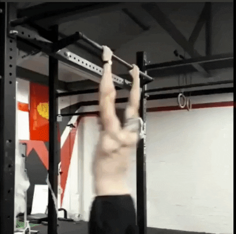 GIF by Wildcardsc