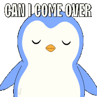 Penguin Staring Sticker by Pudgy Penguins