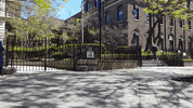 Bears Vandy GIF by St. Joseph's University New York