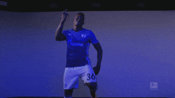 happy fc schalke GIF by Bundesliga