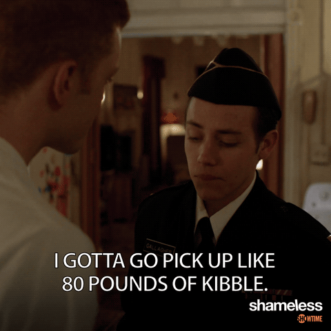 GIF by Showtime