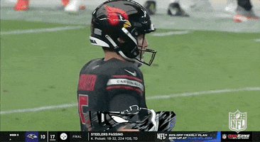 Matt Prater Football GIF by NFL