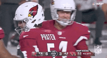 Arizona Cardinals Football GIF by NFL