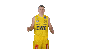 Ewe Baskets Basketball Sticker by EWE Baskets Oldenburg