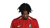 Look Up Sc Freiburg Sticker by Bundesliga