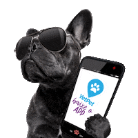 Dog Petshop Sticker by YetPet