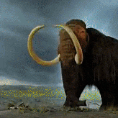 events believe educational wo historical GIF