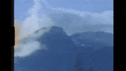 Oscar Wilde Indie Rock GIF by Topshelf Records