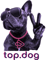 Dog Sticker by so.fa.dog