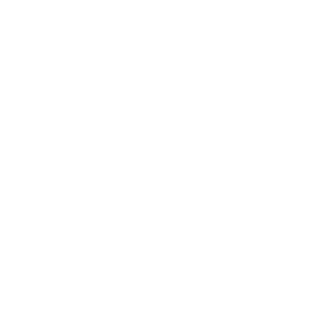 CarBlip giphygifmaker white carblip Sticker