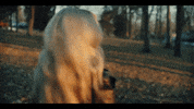 Tennessee Orange GIF by Columbia Records