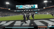 National Football League GIF by NFL