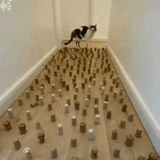 chusss giphyupload cats GIF