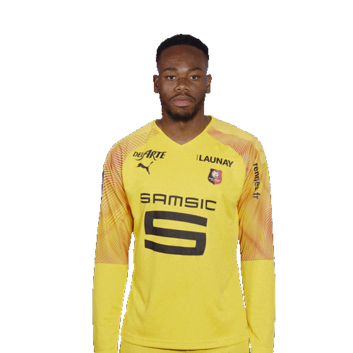 Ligue 1 Football Sticker by Stade Rennais F.C.