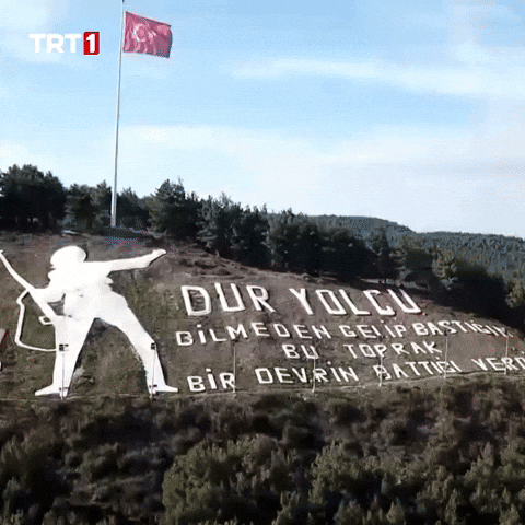 Flag Homeland GIF by TRT