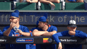 Baseball Team GIF by New York Mets
