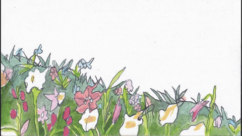 darienrfisher giphyupload art animation flowers GIF