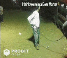 Bear Invest GIF by ProBit Global