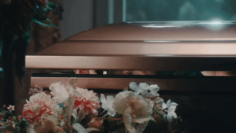 Looking Around Music Video GIF by Taylor Swift