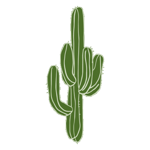 Desert Cactus Sticker by Spell & The Gypsy Collective