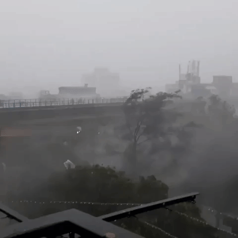 Wind and Rain Lash Kolkata as Cyclone Amphan Bears Down