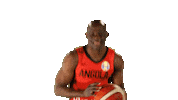 Game Basketball Sticker by FIBA