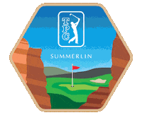 Tiger Woods Golf Sticker by TPC Network