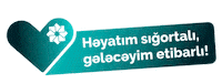 Pasha-life life insurance pasha life paşa həyat pasha life insurance Sticker