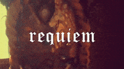 music video trailer GIF by Sub Pop Records