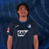 Sport Bundesliga GIF by TSG Hoffenheim
