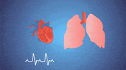 ohsusocial  GIF