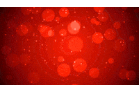Merry Christmas GIF by RENPHO