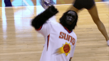mascot GIF by NBA