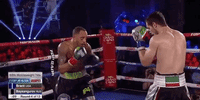 GIF by Top Rank Boxing