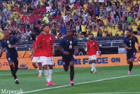 World Cup Fan GIF